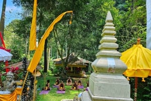 Bali (Lovina): Ceremonia de purificación en la cascada sagrada