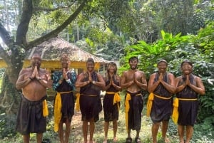 Bali (Lovina): Ceremonia de purificación en la cascada sagrada