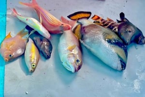 بالي/لوفينا: جولة صيد خاصة مع خيار الغطس