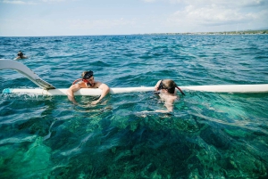 بالي/لوفينا: جولة صيد خاصة مع خيار الغطس