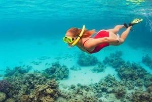 Bali/Lovina: mergulho com golfinhos ao amanhecer, privado ou em grupo