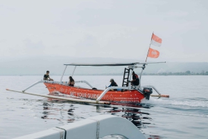 Bali/Lovina: snorkeling z delfinami o wschodzie słońca i skok z klifu nad wodospadem