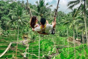 Bali/Lovina: mergulho com golfinhos ao amanhecer e salto de penhasco na cascata