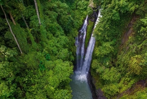 Bali/Lovina: mergulho com golfinhos ao amanhecer e salto de penhasco na cascata