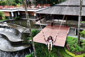 Bali/Lovina: mergulho com golfinhos ao amanhecer e salto de penhasco na cascata