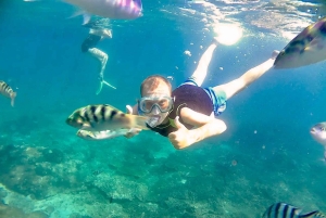 Bali/Lovina: mergulho com golfinhos ao amanhecer e salto de penhasco na cascata