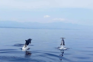 Bali/Lovina: mergulho com golfinhos ao amanhecer e salto de penhasco na cascata