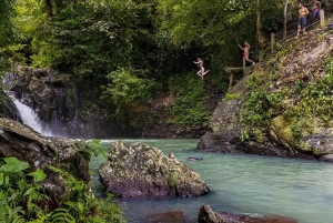 Bali/Lovina: mergulho com golfinhos ao amanhecer e salto de penhasco na cascata