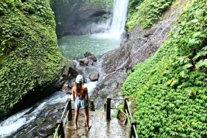 Bali/Lovina: mergulho com golfinhos ao amanhecer e salto de penhasco na cascata