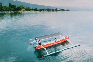 Bali/Lovina: mergulho com golfinhos ao amanhecer e salto de penhasco na cascata