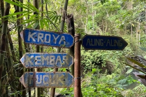 Bali/Lovina: mergulho com golfinhos ao amanhecer e salto de penhasco na cascata