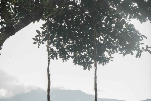 Bali/Lovina: mergulho com golfinhos ao amanhecer e salto de penhasco na cascata