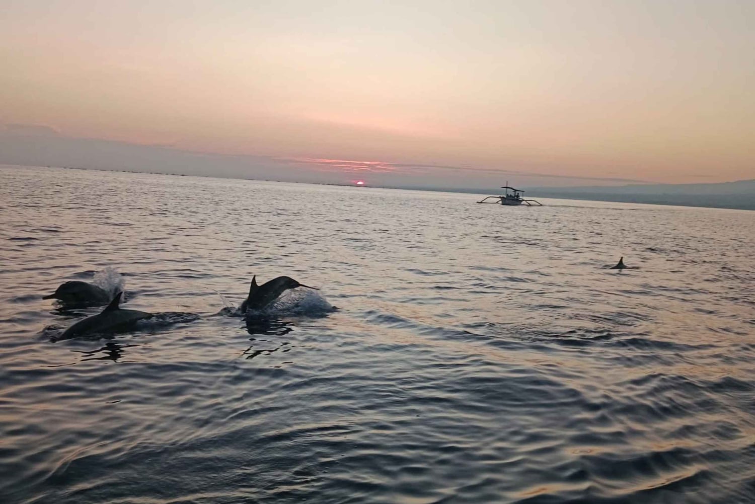 Bali: Lovina Sunrise Dolphin Watching og Snorkeling Tour