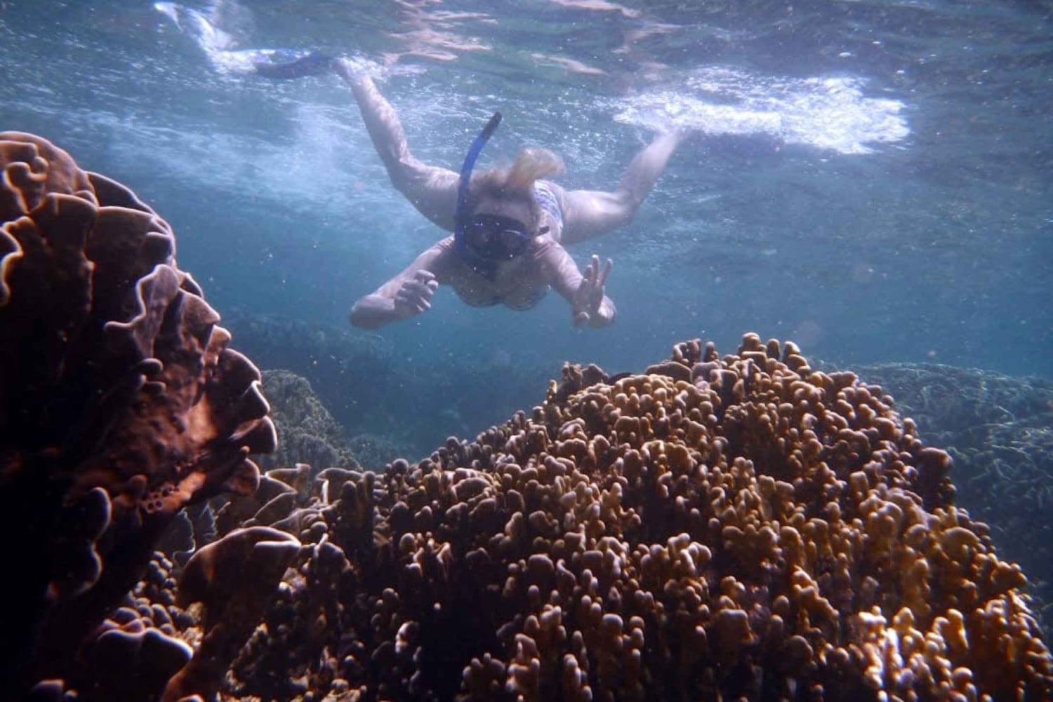 Bali: Lovina Sunrise Dolphin Watching And Snorkeling Tour