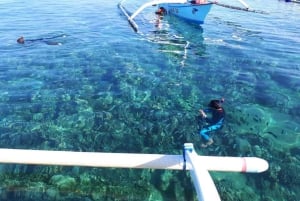 Bali: Lovina Sonnenaufgang Delfinbeobachtung und Schnorcheltour