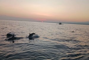 Bali: Lovina Sonnenaufgang Delfinbeobachtung und Schnorcheltour