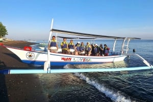 Bali: Lovina Sonnenaufgang Delfinbeobachtung und Schnorcheltour