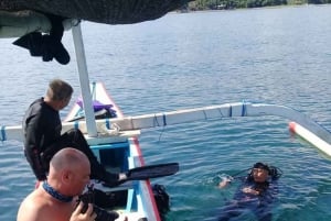 Bali: Lovina Sonnenaufgang Delfinbeobachtung und Schnorcheltour