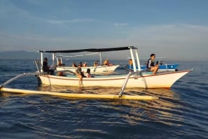 Bali: Lovina Sonnenaufgang Delfinbeobachtung und Schnorcheltour