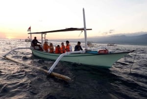 Bali: Lovina Sunrise Dolphin Watching og Snorkeling Tour