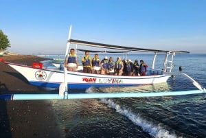 Bali: Lovina Sunrise Dolphin Watching og Snorkeling Tour