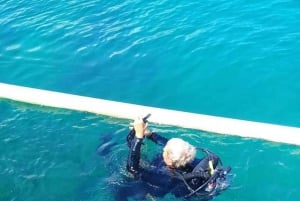 Bali: Lovina Sunrise Dolphin Watching og Snorkeling Tour