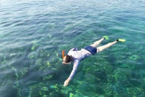 Bali: Lovina Sunrise Dolphin Watching og Snorkeling Tour