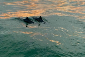 Bali: Passeio ao pôr do sol em Lovina com experiência de snorkeling