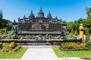Bali (Lovina): Tour with Meditation in Temple & Hot Springs