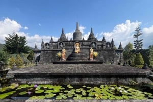 Bali (Lovina): Tour with Meditation in Temple & Hot Springs