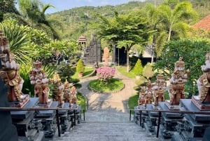 Bali (Lovina): Tour with Meditation in Temple & Hot Springs