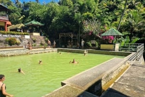 Bali (Lovina): Tour with Meditation in Temple & Hot Springs