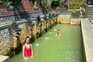 Bali (Lovina): Tour with Meditation in Temple & Hot Springs