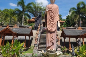 Bali (Lovina): tur med meditasjon i tempel og varme kilder