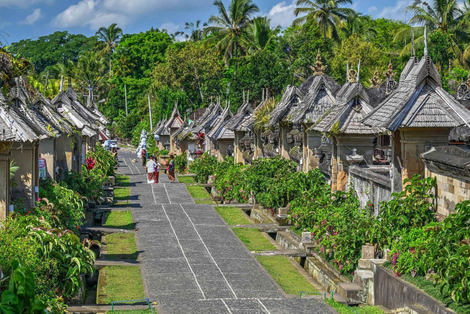 Bali : rizières de Macingan, village et cascade