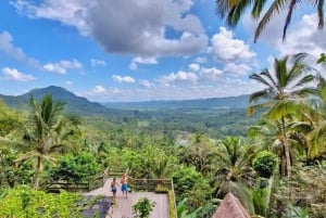 Bali : rizières de Macingan, village et cascade