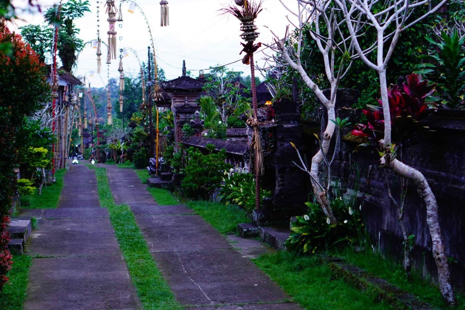 Bali: Magische Nacht mit Glühwürmchen & authentischer Kultur
