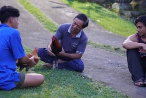 Bali: Magische Nacht mit Glühwürmchen & authentischer Kultur