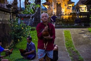 Bali: Magische Nacht mit Glühwürmchen & authentischer Kultur