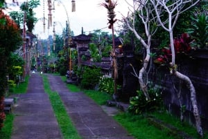 Bali: Magische Nacht mit Glühwürmchen & authentischer Kultur