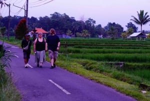 Bali: Magische Nacht mit Glühwürmchen & authentischer Kultur