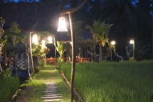 Bali: Magische Nacht mit Glühwürmchen & authentischer Kultur