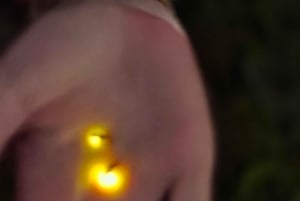 Bali: Magische Nacht mit Glühwürmchen & authentischer Kultur