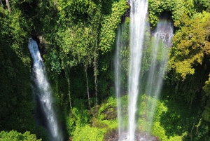 The Best Northern Bali: Waterfalls & Sacred Temple Adventure