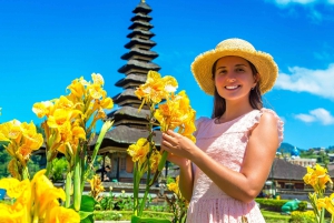 The Best Northern Bali: Waterfalls & Sacred Temple Adventure