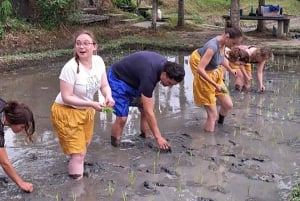 Bali: Making Canang, Sanskrit Lesson & Farming Village Tour