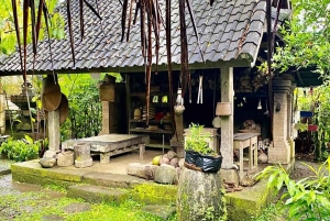 Bali: Making Canang, Sanskrit Lesson & Farming Village Tour
