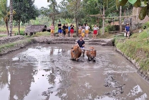 Bali: Making Canang, Sanskrit Lesson & Farming Village Tour