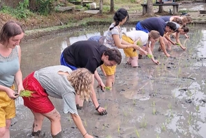 Bali: Making Canang, Sanskrit Lesson & Farming Village Tour