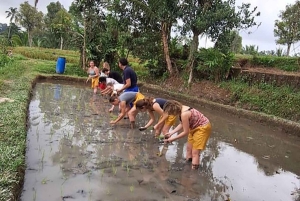 Bali: Making Canang, Sanskrit Lesson & Farming Village Tour